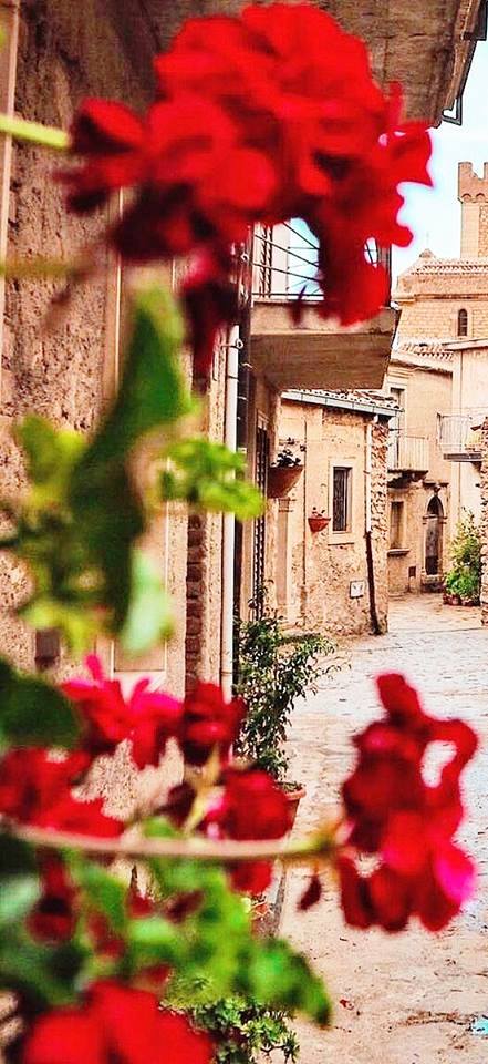 Il successo di Alleanza Verdi-Sinistra a Messina ha radici lontane