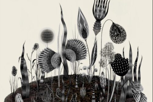 Questione sociale e disagio giovanile: è il tempo dell’ascolto e della proposta