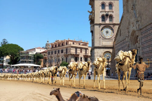 siccità: WWF a sostegno di un agricoltore per salvare un laghetto prezioso per la biodiversità