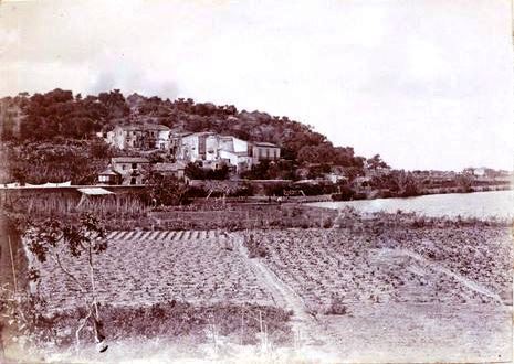 OPERAZIONE ‘TRINACRIA 2024’ DEI CARABINIERI FORESTALI NELL’AGRIGENTINO: 13 CACCIATORI DENUNCIATI IN POCHI GIORNI