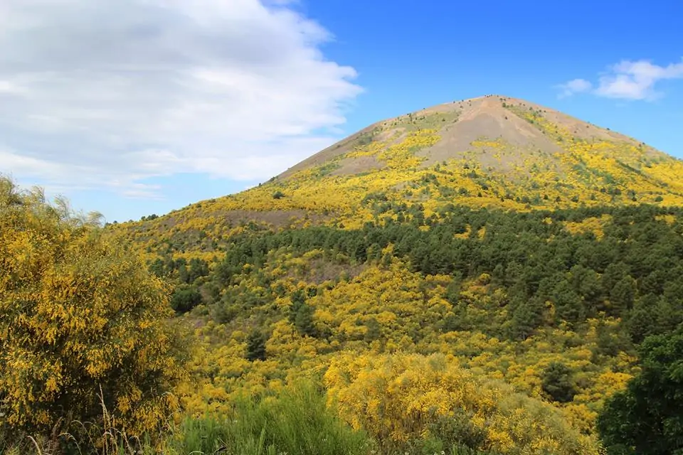 Galati Mamertino… e le storie vitali che si intrecciano