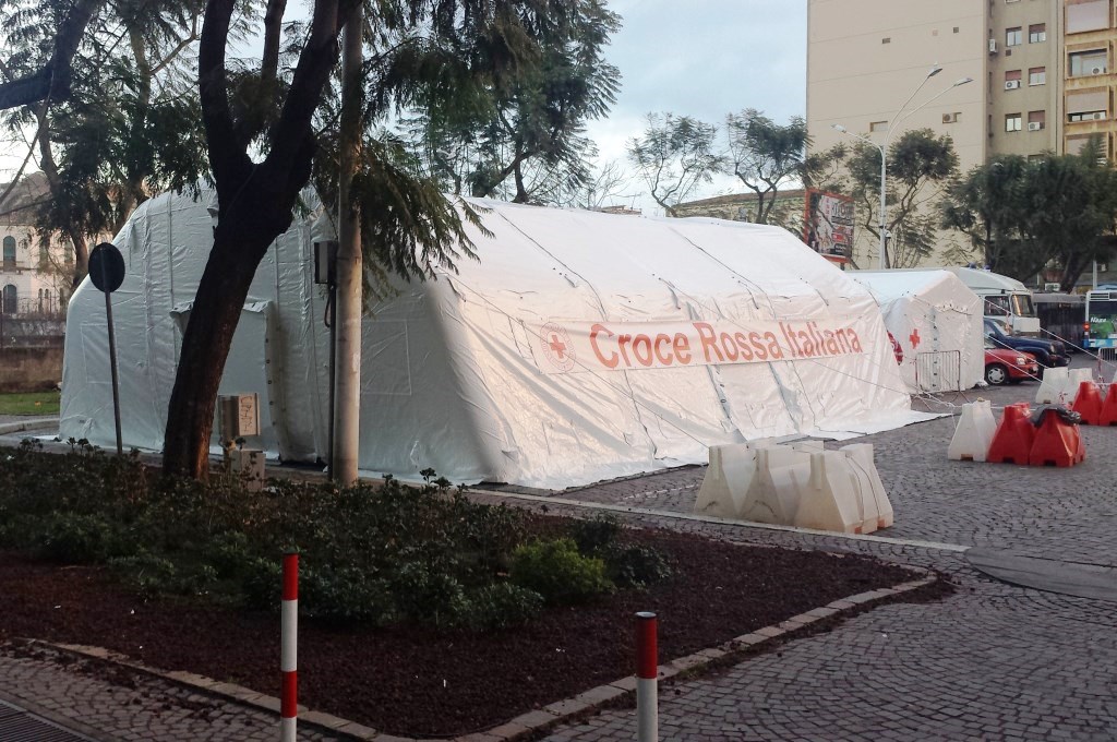 Peste africana registrata in Albania