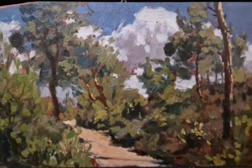 Come i gigli dei campi e gli uccelli del cielo