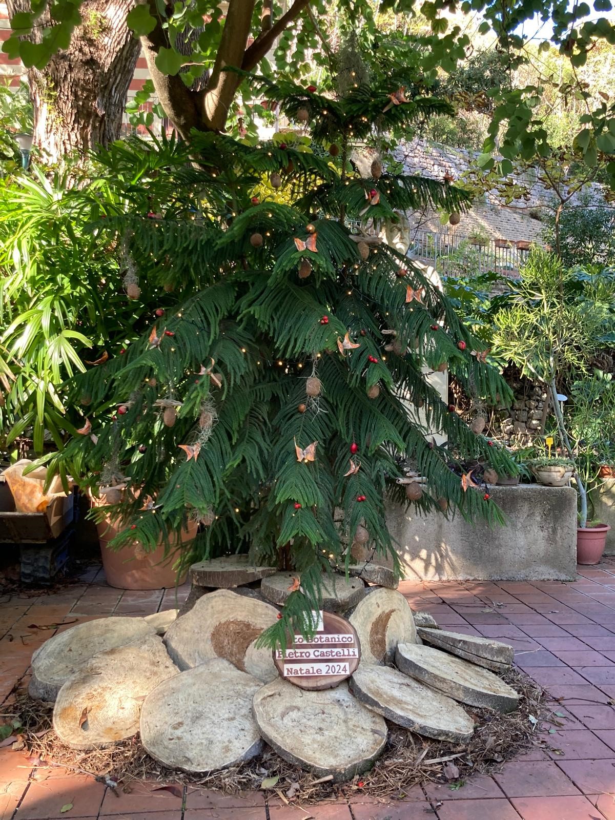 Felice 2025 dallo staff dell’Orto Botanico “Pietro Castelli”