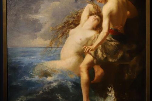 La Cassazione: coltivare qualche piantina di cannabis in casa non è reato