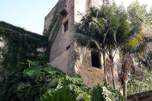 Il paradiso all’orto botanico di Palermo