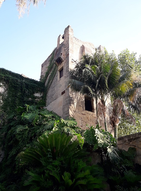 Il paradiso all’orto botanico di Palermo
