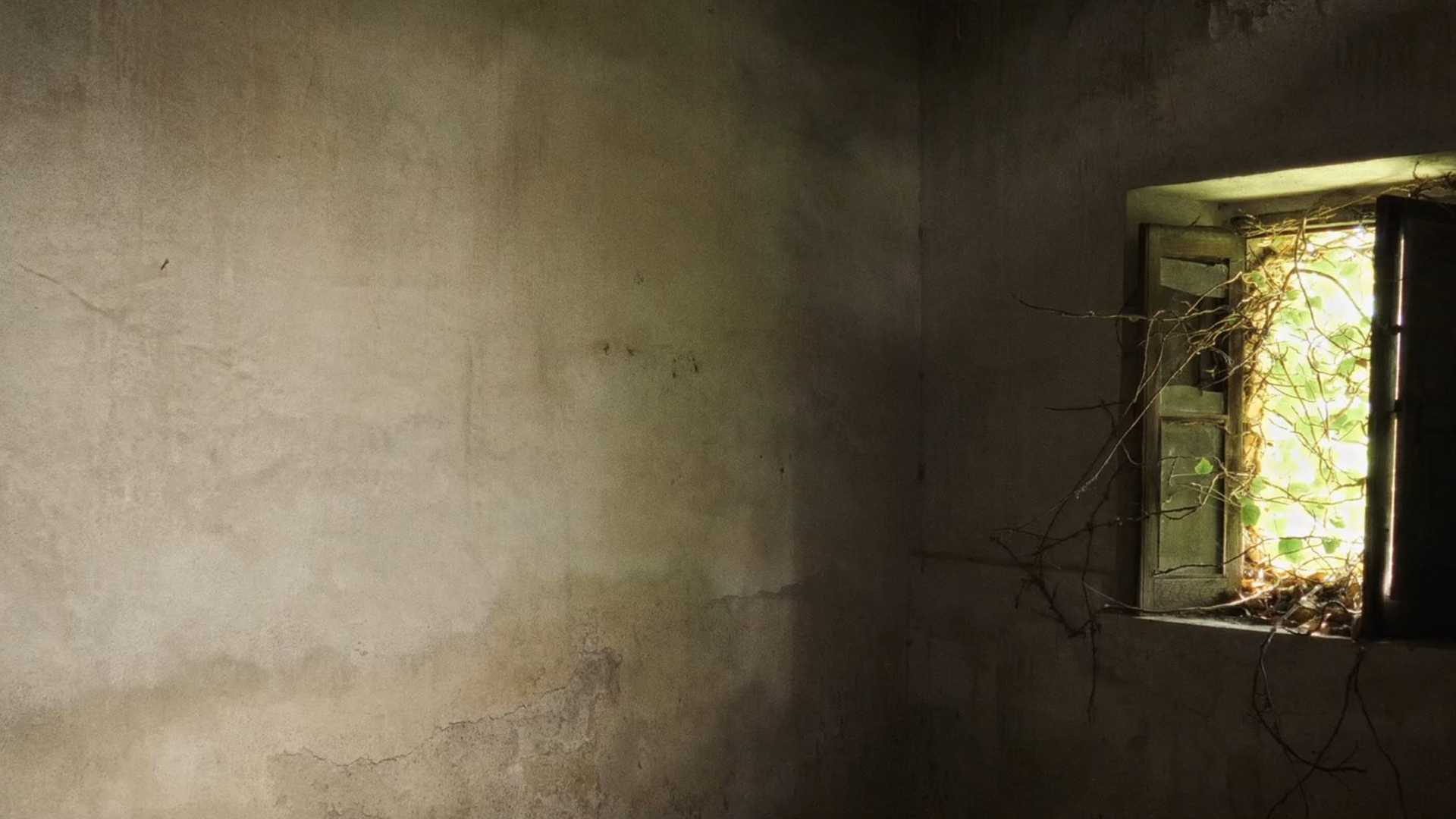 Disagio abitativo a Messina e provincia: il servizio di Rete 4 ne dà uno spaccato