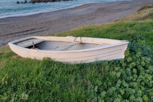 Pace e rivoluzione permanente