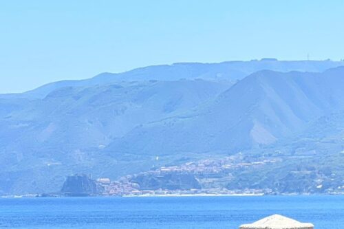 Recuperata una tartaruga marina “Caretta Caretta” e sequestrati 20 Kg di pescato vario