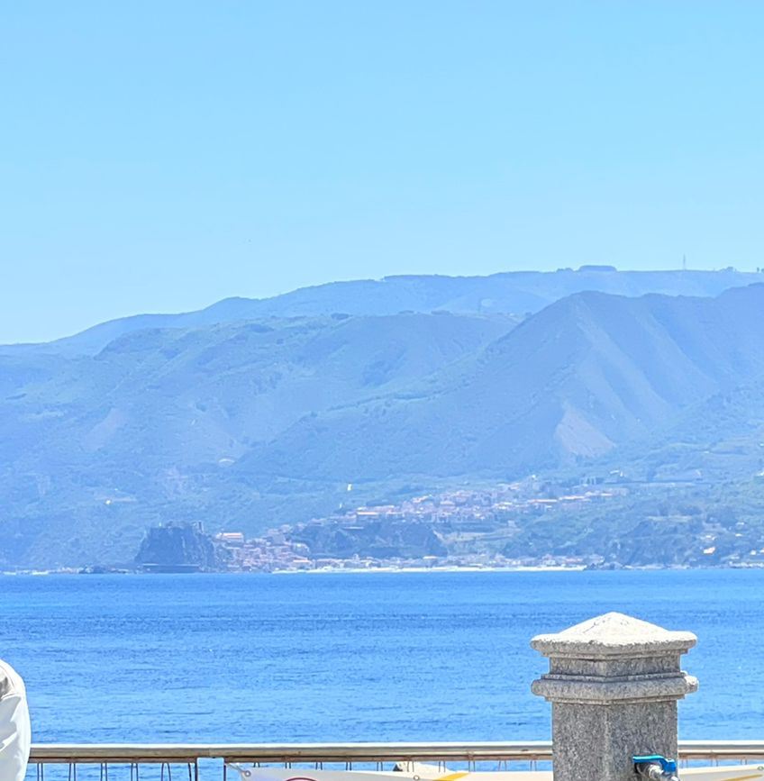 Recuperata una tartaruga marina “Caretta Caretta” e sequestrati 20 Kg di pescato vario