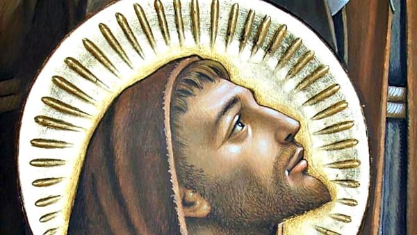 La rivoluzione di Francesco: la cura del creato