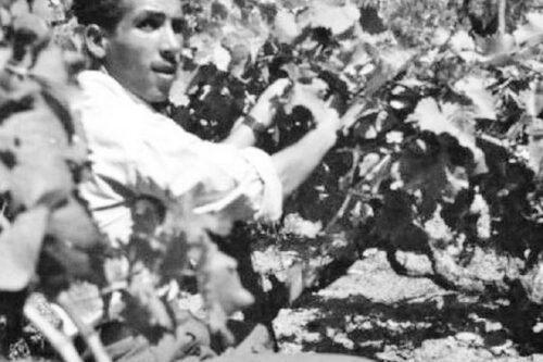 La Carovana per la Cittadinanza arriva a Messina!