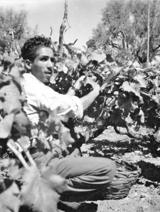 La Carovana per la Cittadinanza arriva a Messina!