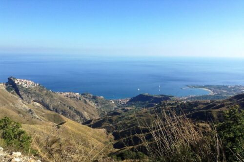incontro sul tema del verde urbano