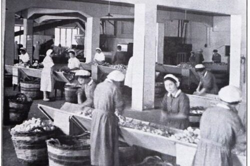 Sorelle d’Italia votano Sì