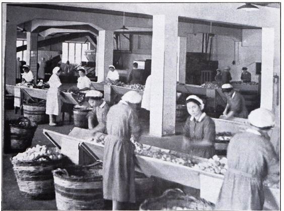 Sorelle d’Italia votano Sì