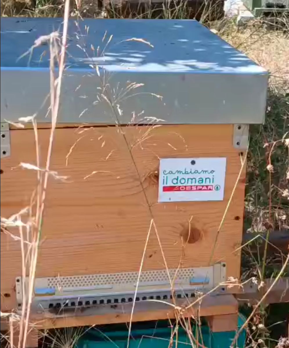 Il progetto “Case delle Api Despar” approda a Messina