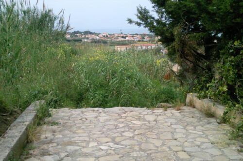 Presidente Mattarella, mi vergogno di Lei e sono orgoglioso di Francesca Albanese. Spiego perché