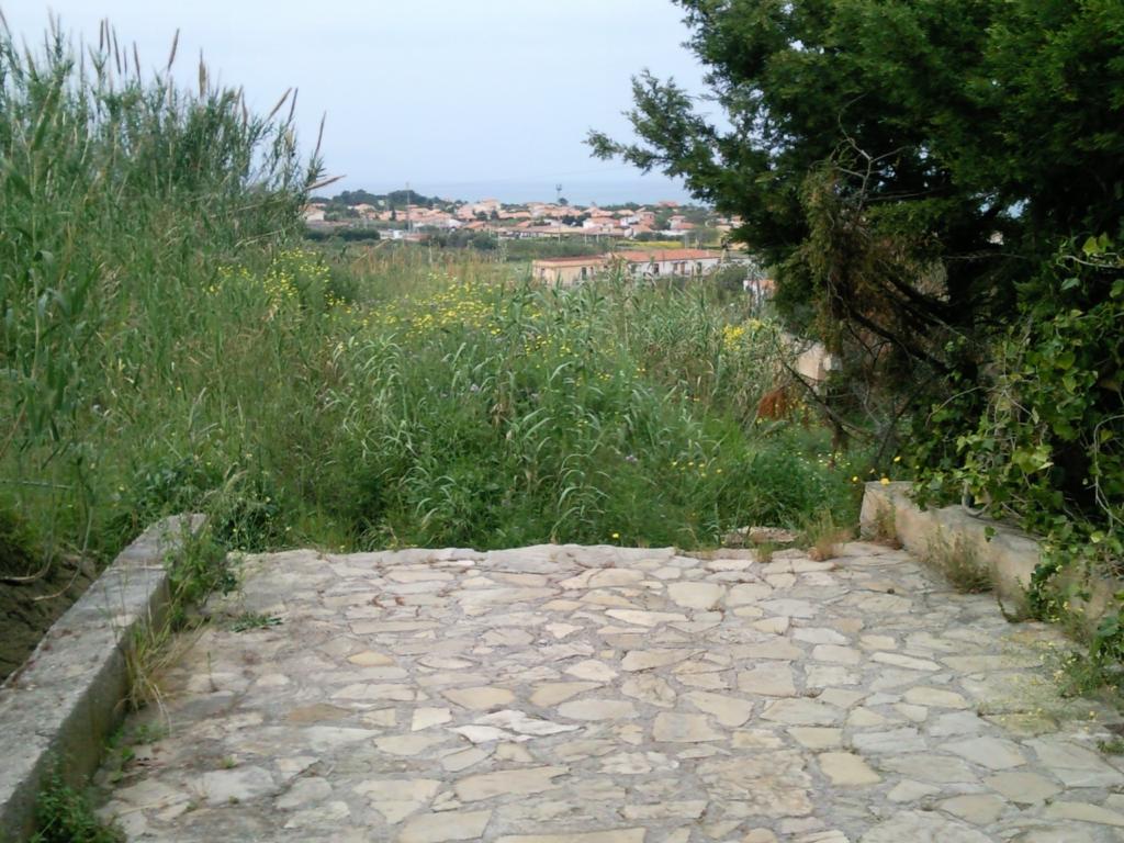 Presidente Mattarella, mi vergogno di Lei e sono orgoglioso di Francesca Albanese. Spiego perché