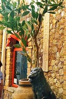 Gli ulivi non muoiono in silenzio