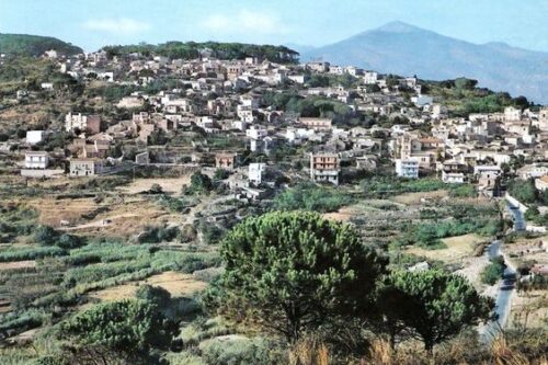 Fine campagna di raccolta nocciole nei Nebrodi: annata difficile