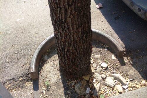 Disertare la retorica di guerra