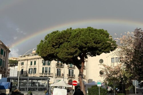 Il futuro che cannibalizza