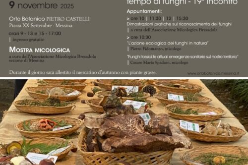 Ortobotanico “Pietro Castelli”: “Autunno: tempo di funghi – 19° incontro”