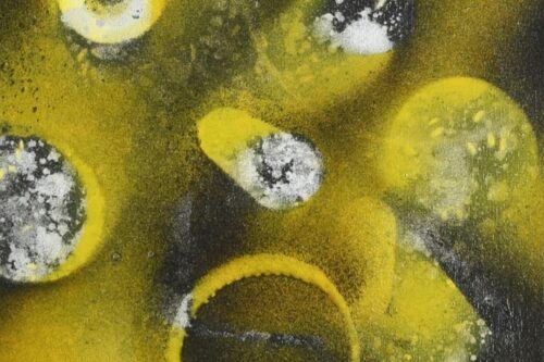 Affidamento gestione servizio idrico a Messinacque spa: procedura corretta dice la Corte dei conti, scelta politica errata dice il comitato “Vogliamo l’acqua dal rubinetto!”