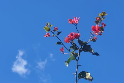 Creta modellata con lacrime e sangue