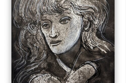 Il cuculo fascio-suprematista ha occupato il nido della democrazia americana