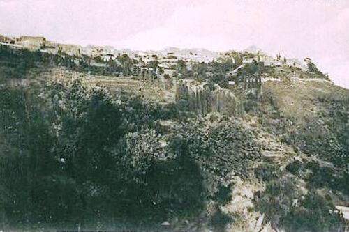 In Sicilia nascono nuovi modelli agricoli, ma anche avocado