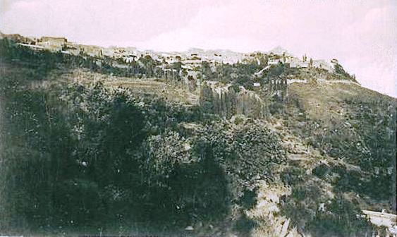 In Sicilia nascono nuovi modelli agricoli, ma anche avocado