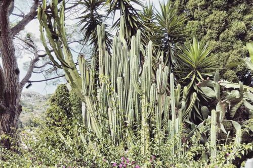 IN NOME DELLA POESIA