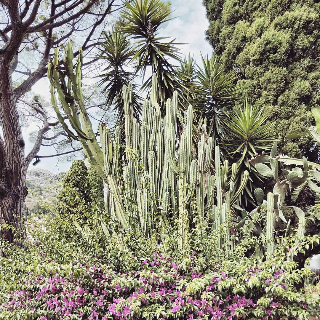 IN NOME DELLA POESIA