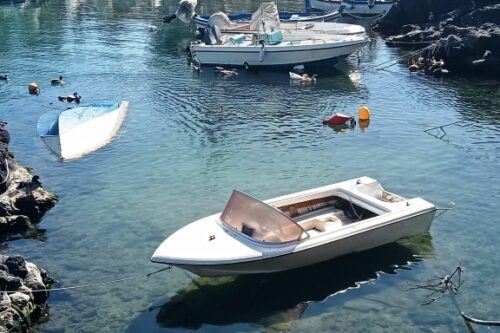 SI SALVAGUARDINO I NUMEROSI UCCELLI ACQUATICI PALMIPEDI, AIRONI, GABBIANI, CHE VIVONO NELLA SPIAGGETTA E NEL GOLFO DI OGNINA