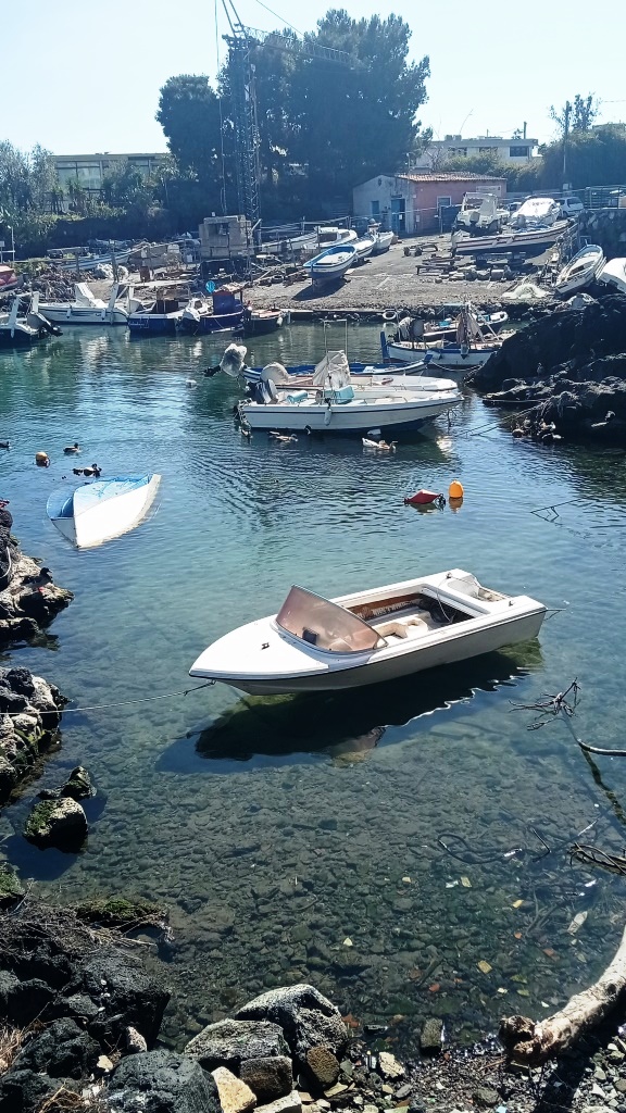 SI SALVAGUARDINO I NUMEROSI UCCELLI ACQUATICI PALMIPEDI, AIRONI, GABBIANI, CHE VIVONO NELLA SPIAGGETTA E NEL GOLFO DI OGNINA