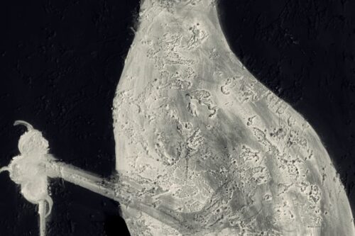 Per chi suona la campana