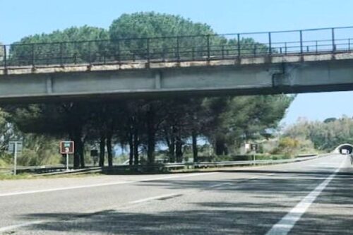 EMERGENZA LOGISTICA E CARBURANTE IN SICILIA: SERVE UNA SVOLTA! NO IL PONTE