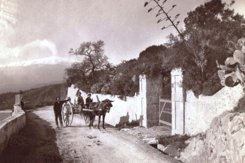 INCUBO VIABILITÀ A TORRE FARO: UN DISASTRO ANNUNCIATO