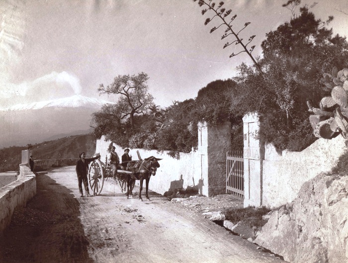 INCUBO VIABILITÀ A TORRE FARO: UN DISASTRO ANNUNCIATO