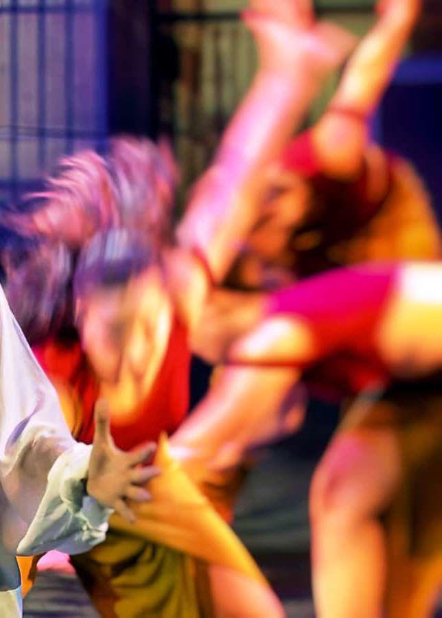 Quem Deus vult perdere dementat