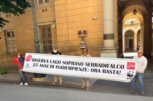 CALTANISSETTA, GIORNATA MONDIALE DELLA BIODIVERSITÀ. FLASH-MOB DELLE ASSOCIAZIONI AMBIENTALISTE PER LA RISERVA LAGO SOPRANO: “25 ANNI DI INADEMPIENZE, ORA BASTA!”